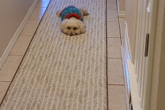 diaz-area-rug3