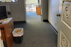 Diaz Carpets and More