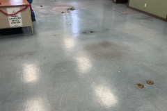 Diaz Carpets and More